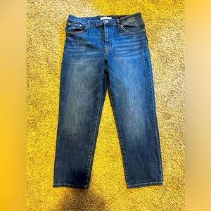 Ella Moss Womens Cropped Jeans Size 12 / 31 High Waist Straight Leg